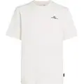 O'Neill Global T-skjorte hvit