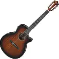 Ibanez AEG74N Mahogany Sunburst High Gloss