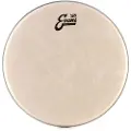 Evans 56 Calftone 12 Drum head