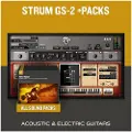 Aas Strum GS-2+Packs