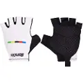 Santini Uci World Champion 2025 Korte Hansker