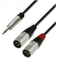 Adam hall 4 STAR Rean 3.5mm TRS Mini Jack to Twin XLR (M) Splitter Cable 1.8m