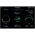Zynaptiq Punch