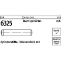 Lemvigh-Muller 6X24 hærdet sleben stift - (200 stk.)