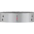 Bosch Pro Multi-material Hullsag For Tre 177 Mm