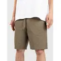 Iriedaily Love n Relax Shorts grønn