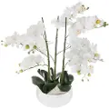 Atmosphera Orchid Jj1683 Blomsterpotte