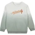 Name it Økologisk Bomull Sweatshirt