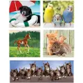 Clementoni Noli Animal Friends 10 In 1 Puslespill