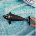 Schleich Wild Life North Atlantic Right Whale