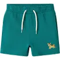Name it Shorts Shorts