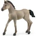 Schleich Criollo Definitive Føl