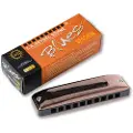 Seydel Harmonicas Seydel 1847 Session Antique Harmonica A