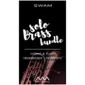 Audio Modeling SWAM Solo Brass Bundle
