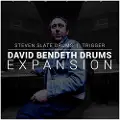 Steven Slate Drums Steven Slate SSD David Bendeth Expansion