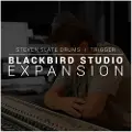 Steven Slate Drums Steven Slate TRIGGER 2 Blackbird Expansion