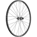 Dt Swiss X 1900 Spline 25 29´´ Cl Disc Tubeless Bakhjul