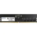 ADATA Premier Series - DDR5 - modul - 16 GB - DIMM 288-PIN - 4800 MHz / PC5-38400 - CL40 - 1.1 V - ikke bufferet - ECC - sort