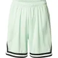 Karl kani Small Signature Essential Mesh Shorts