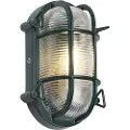 QAZQA Utendørs vegg- og taklampe mørkegrønn oval IP44 - Noutica