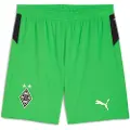 Puma Borussia Mönchengladbach 25/26 Shorts Men, Sport, Green/Warm White, 3XL