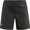 Salewa Puez Talveno 4 Shorts