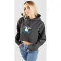 RIPNDIP Shroom Nerm Hettegenser grå