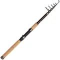 Dam Backbone Ii Tele Karpe Fiskestang