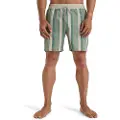Billabong Sundays Lb Boardshorts grønn