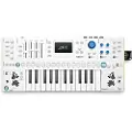 Kiviak Instruments WoFi Polyphonic Sampler Keyboard Synthesizer - Ex Demo