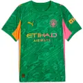 Puma Manchester City 25/26 Goalkeeper Jersey Men, Sport, Archive Green/Heat Fire, L