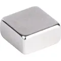 Pavo Magnet Pavo kvadrat 10x10x5 mm - (6 stk.)