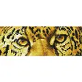 Diamond Dotz DD5.028, Sort, Brun, Gult