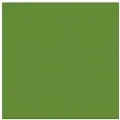 Duni Serviet Duni 33x33 cm 3-lag Leaf grøn,8 pk x 125 stk/krt