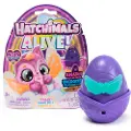 Spin Master Alive Neon Rainbow 1 Pack Asst.