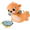 Fisher-Price 2-i-1 Sensimals Otter Swing Pute
