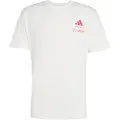 Adidas Mercedes-amg Petronas Formula One Team Summer Graphic Kortarmet T-skjorte
