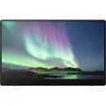Ricoh 15.6" 150BW - OLED monitor - Full HD (1080p) - 15.6"