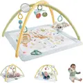 Fisher-Price Dyr Gym Sensimals