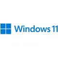 Microsoft Ms Sb Windows 11 Pro For Workstations Uk Operativsystem