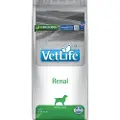 Vet Life Farmina Vet Life Dog Renal - Sparepakke: 2 x 12 kg