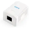 Gembird Ekstern UTP-Nettverkskontakt CAT6 1-port