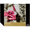 Royal Talens Acrylic colour paper | 24 x 32 cm, 400 g, 10 sheets
