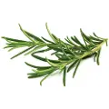 Click & Grow Smart Garden Refill 3-pack - Rosemary