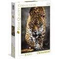 Clementoni 1000 pcs. High Color Collection WALK OF THE JAGUAR