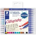 Staedtler calligraphy 3005 - Fibertuppenn - assorterte farger - 3.5 mm - narrow-wide - 12 deler