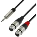 Adam hall 4 STAR Rean 3.5mm TRS Mini Jack to Twin XLR (F) Splitter Cable 3m
