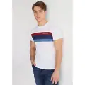 LOIS Jeans for man. 157973997 Short-sleeved T-shirt with white tricolour stripe on the chest (S), Casual, Cotton, Short sleeve