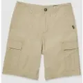 Volcom Strange Tripper Cargo 22 Shorts