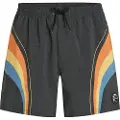 O'Neill O'Riginals Longboard 15" Boardshorts svart